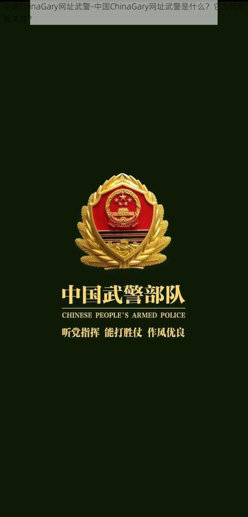 中国ChinaGary网址武警-中国ChinaGary网址武警是什么？它为何引发关注？