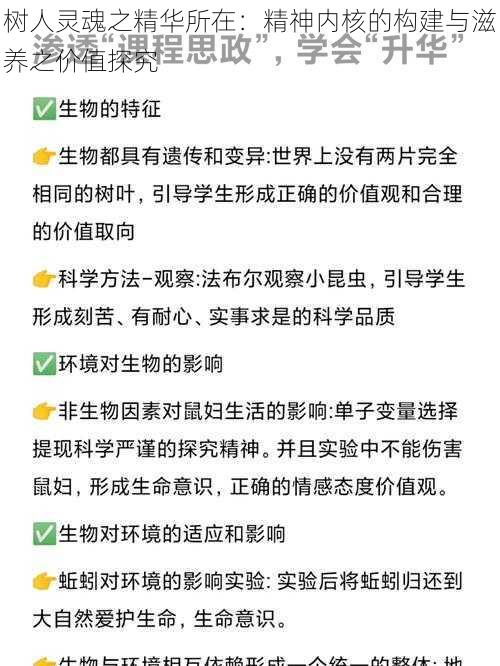 树人灵魂之精华所在：精神内核的构建与滋养之价值探究