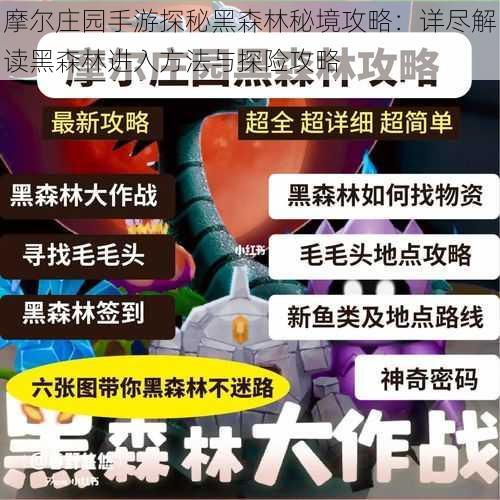 摩尔庄园手游探秘黑森林秘境攻略：详尽解读黑森林进入方法与探险攻略