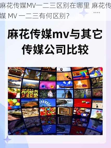 麻花传媒MV一二三区别在哪里 麻花传媒 MV 一二三有何区别？