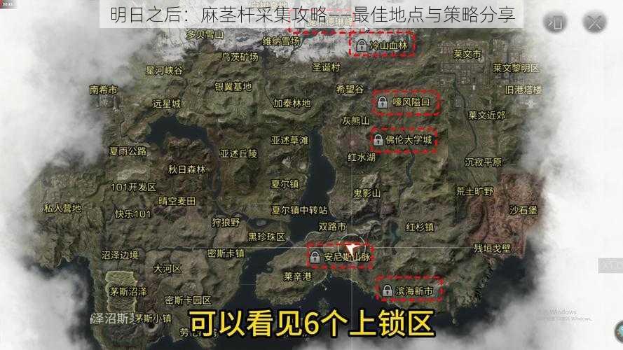 明日之后：麻茎杆采集攻略——最佳地点与策略分享