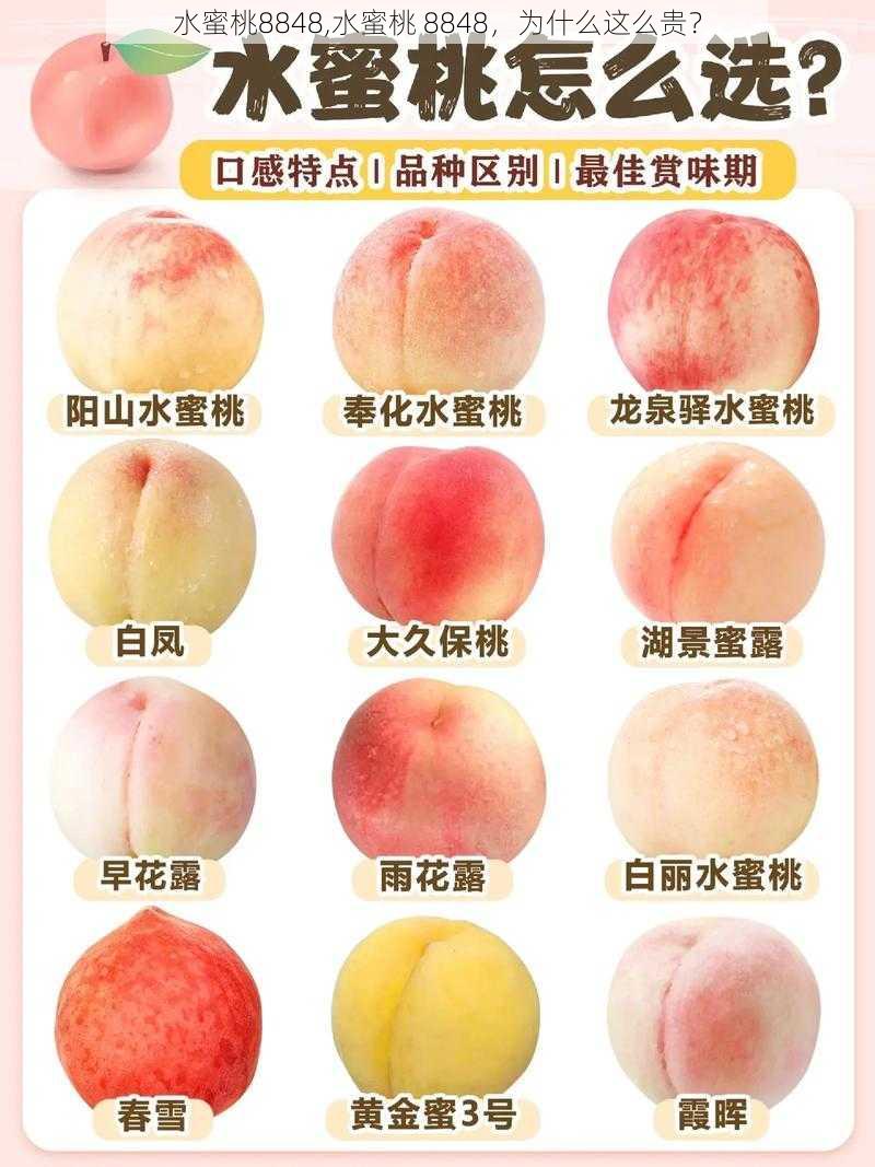 水蜜桃8848,水蜜桃 8848，为什么这么贵？