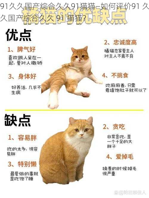 91久久国产综合久久91猫猫—如何评价91 久久国产综合久久 91 猫猫？