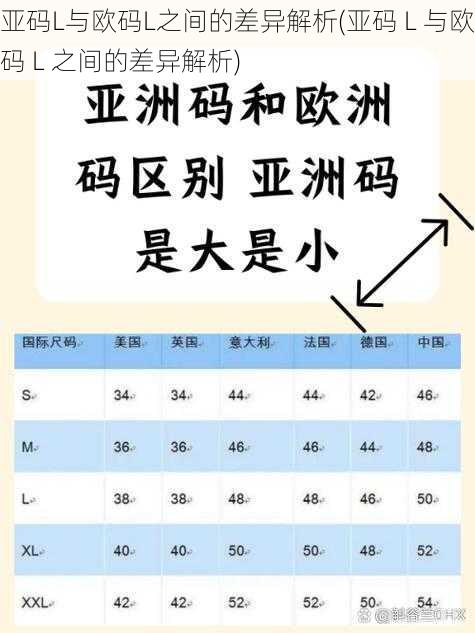 亚码L与欧码L之间的差异解析(亚码 L 与欧码 L 之间的差异解析)