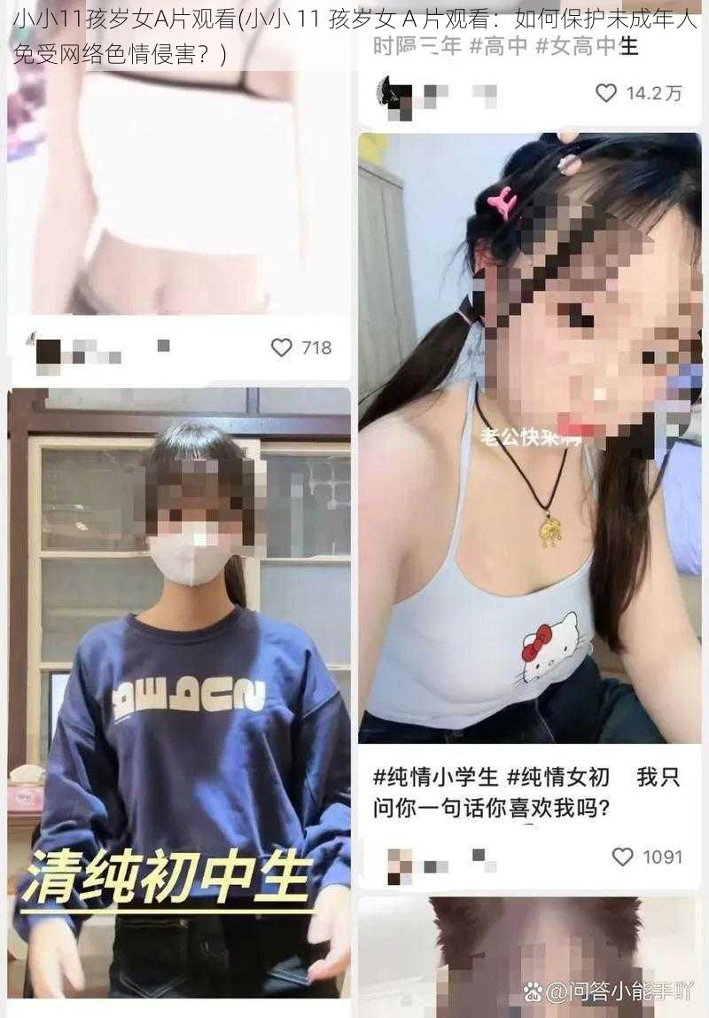 小小11孩岁女A片观看(小小 11 孩岁女 A 片观看：如何保护未成年人免受网络色情侵害？)