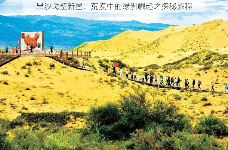 黑沙戈壁新垦：荒漠中的绿洲崛起之探秘旅程