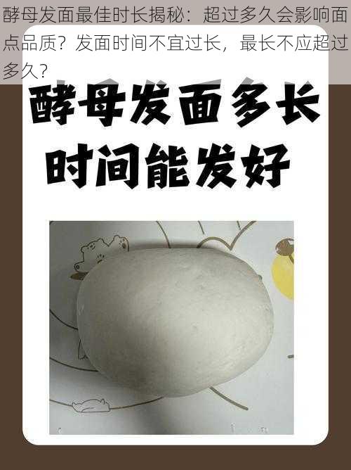 酵母发面最佳时长揭秘：超过多久会影响面点品质？发面时间不宜过长，最长不应超过多久？