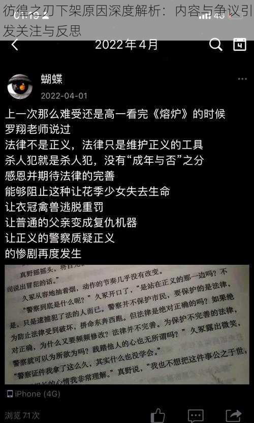 彷徨之刃下架原因深度解析：内容与争议引发关注与反思