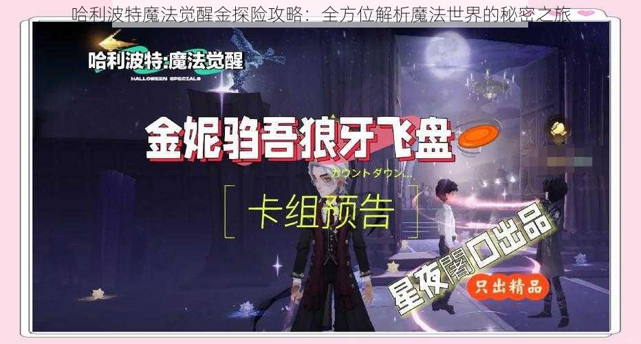 哈利波特魔法觉醒金探险攻略：全方位解析魔法世界的秘密之旅