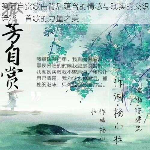 孤芳自赏歌曲背后蕴含的情感与现实的交织诠释一首歌的力量之美