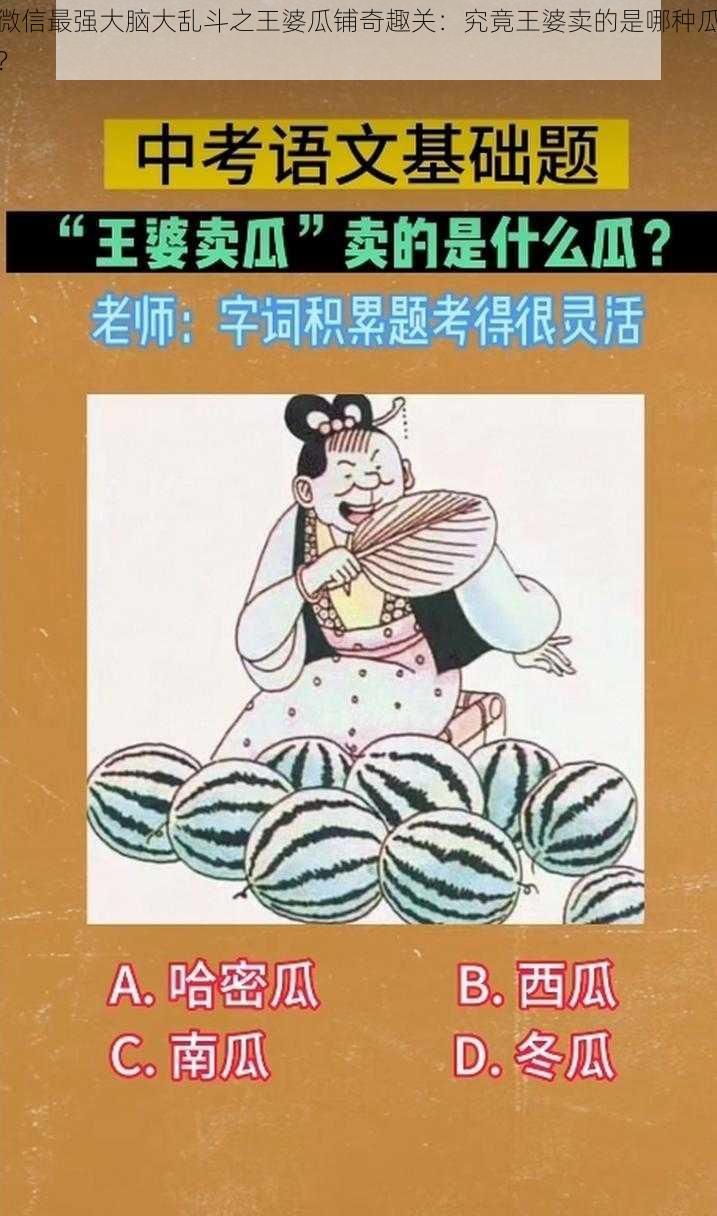 微信最强大脑大乱斗之王婆瓜铺奇趣关：究竟王婆卖的是哪种瓜？